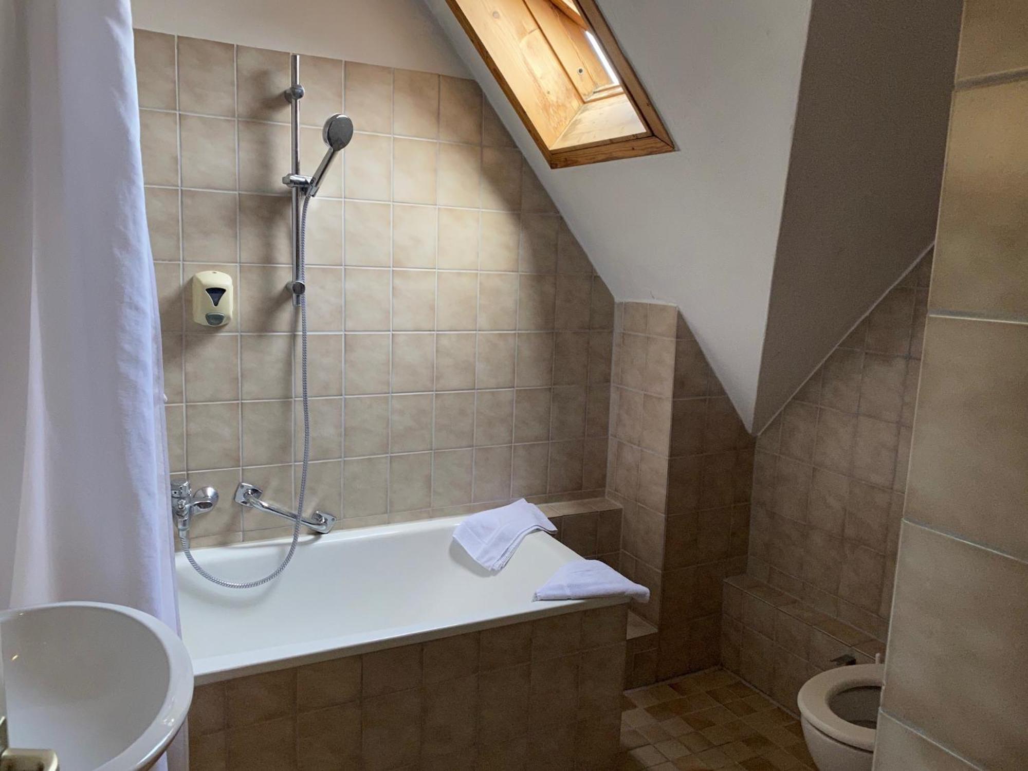 Hotel Gasthaus Schuetzen 프라이부르크 임 브리스가우 객실 사진